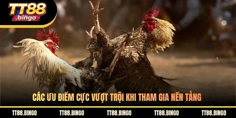 Các ưu điểm cực vượt trội khi tham gia nền tảng