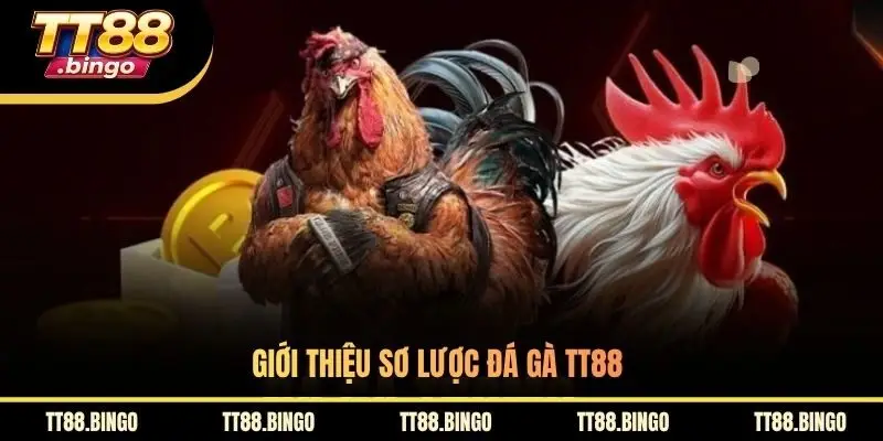 Giới thiệu sơ lược đá gà TT88